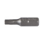 TORX BITS 1? 25MM 10st., T40 WITH HOLE   PROLINE