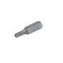 Torxbits med säkerhetshål, T9 25MM 10st., PROLINE