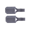 Torx Bits T20-T55 3/8" (10mm), L=30mm 2st. S2, Proline