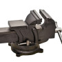 Skruvstycke, skruvstäd vridbart 125mm 11kg, Proline